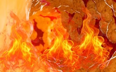 ¿Cómo oxida la grasa el cuerpo humano?