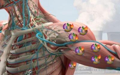 Mitocondrias: el motor celular que impulsa tu salud y longevidad